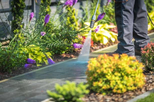 Best Sidewalk and Walkway Cleaning  in Fitchburg, WI
